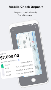 Novo – Small Business Checking 3.12.0 5