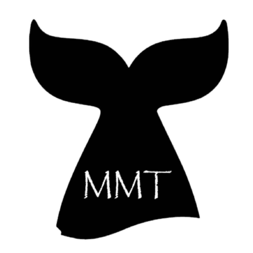 My Mermaid Treasure logo