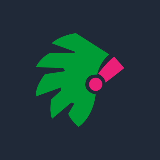 México Limited logo