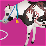 cow pregnancy surgery icon