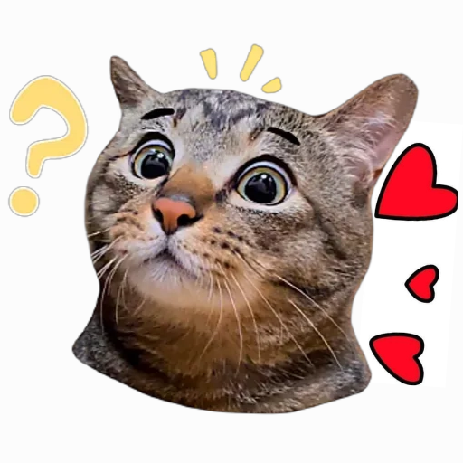 Animal Reaction WAStickers logo