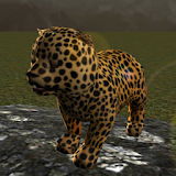 Real Cheetah Cub Simulator icon