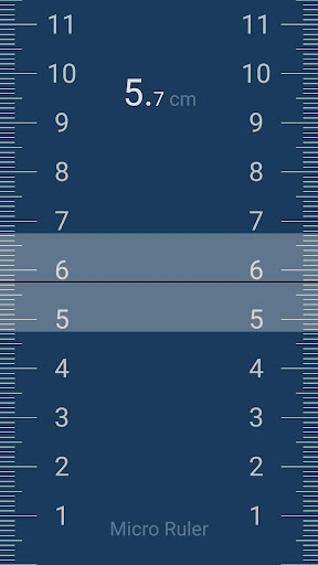 Screenshot of Micro Ruler