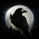 Download NIGHT CROWS Install Latest APK downloader