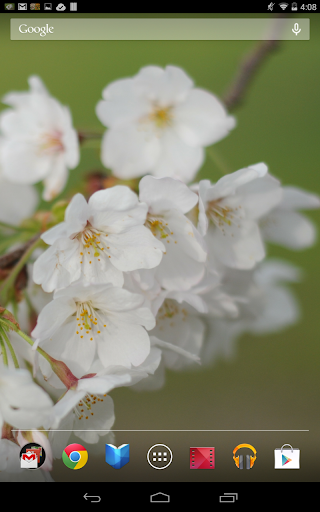 桜の花　壁紙 Screen 3