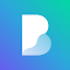 Borealis – Icon Pack MOD v2.94.1 (Patched)