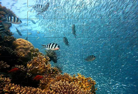 Underwater jigsaw puzzles game
