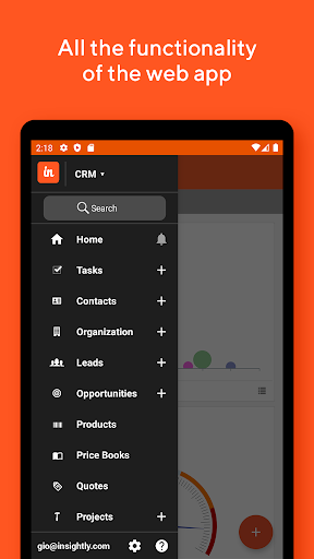 Insightly CRM Screen 2