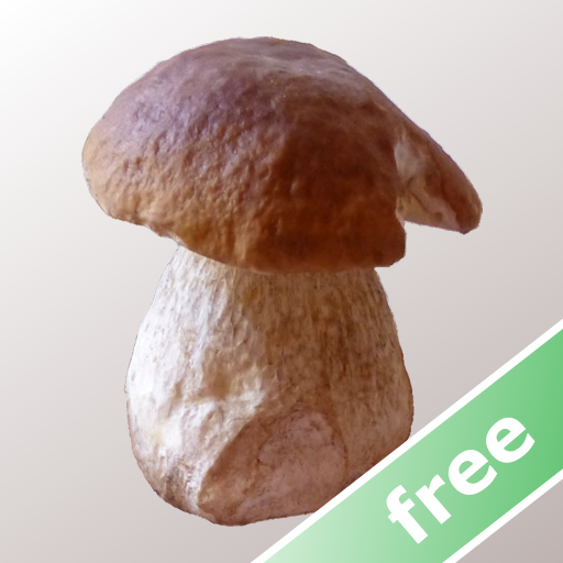 Myco free - Mushroom Guide 1.3.0 Icon
