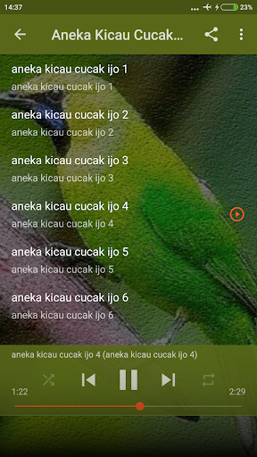 Suara Burung Cucak Ijo Mini Screen 3
