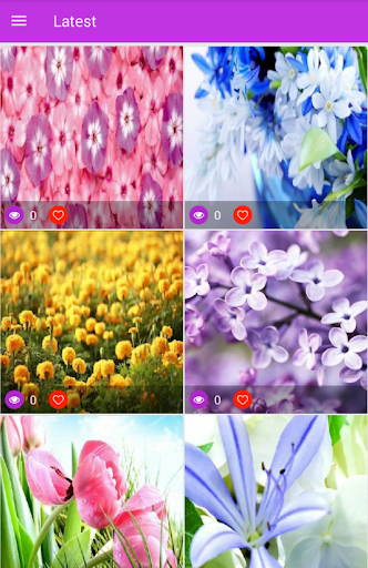 Aesthetic Flowers Screen 2