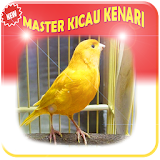 MASTER KICAU KENARI JUARA ! icon