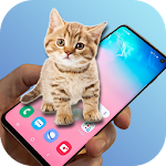 Cover Image of Unduh Cat Play : Cat Game - Cat Animation 1.3 APK