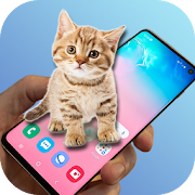 Top 30 Entertainment Apps Like Cat Play : cat animation - Best Alternatives