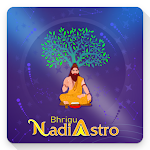 Cover Image of Download Bhrigu Nadi Touch  APK