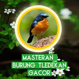 Icon image Masteran Burung Tledekan Gacor