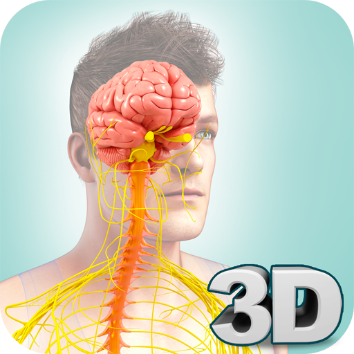 Nervous System Anatomy Pro.  Icon