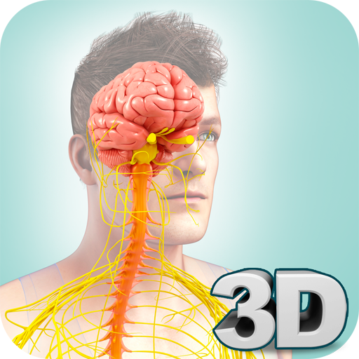 Baixar Nervous System Anatomy Pro.