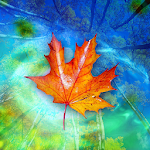 Cover Image of Baixar Papel de parede animado de folhas de outono 1.0.6 APK
