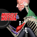 Cover Image of Télécharger Entraînement musculaire par muscle et mouvement  APK