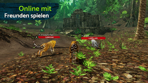 Screenshots from app