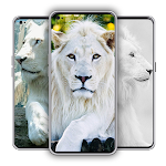 Cover Image of ダウンロード White Lion Wallpaper Hd 1.0 APK
