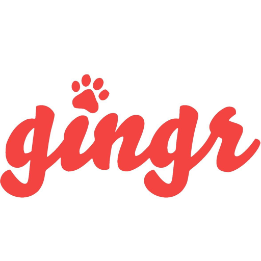 Gingr Notifcations logo