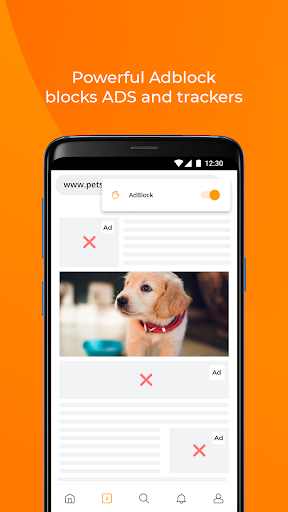 Light Browser - a Christ-based Browser