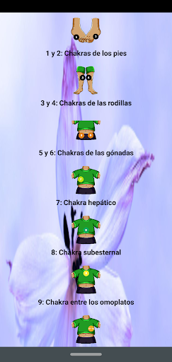 Android application Chakras Secundarios desde Cero screenshort