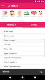 Indonesian Chinese Offline Dictionary & Translator