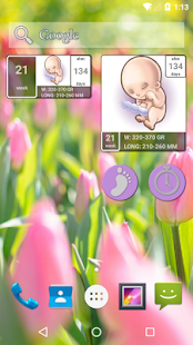 Pregnancy Calendar  Screenshots 1