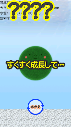 どこでもまりも育成 Androidアプリ Applion