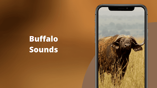 Buffalo Sounds Unknown
