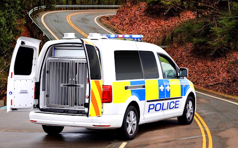 Police Van Gangster Car Chase