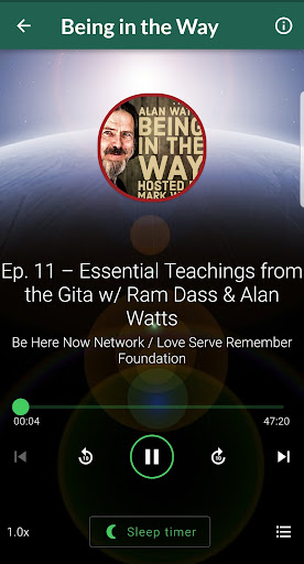 Alan Watts Words of Wisdom