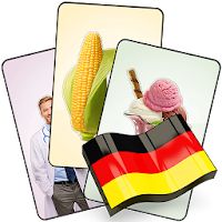 German Flash Cards with 408 Ca