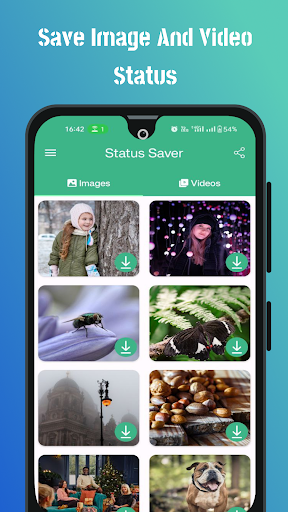 Status Saver Screen 2
