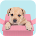 Cute Puppy Wallpapers 1.1.2 Latest APK Download