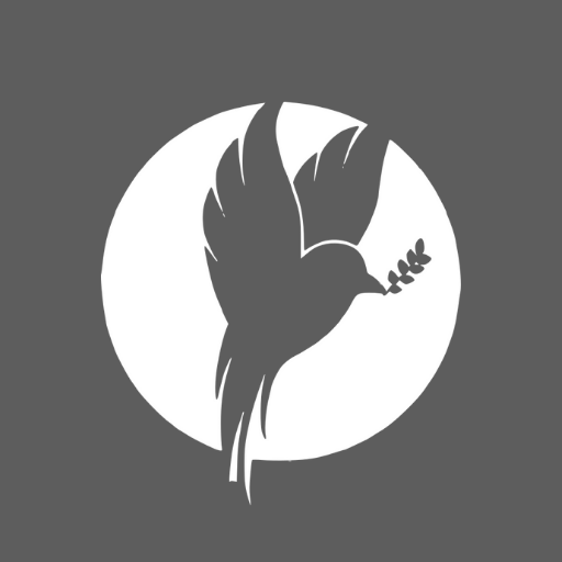 Plano Espírito Santo logo