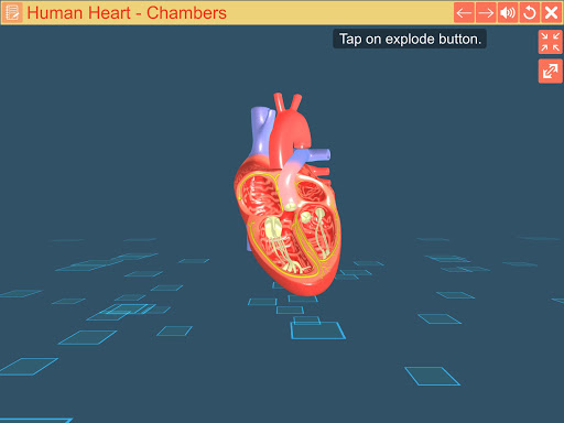Cardiac pacemaker Screen 3