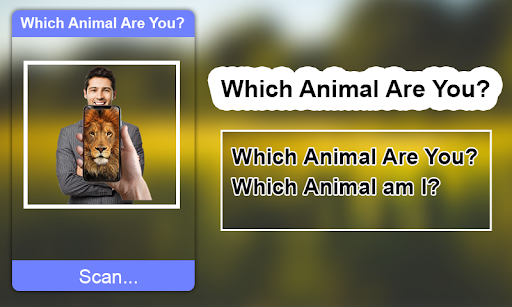 Android application Which Animal Are You? screenshort