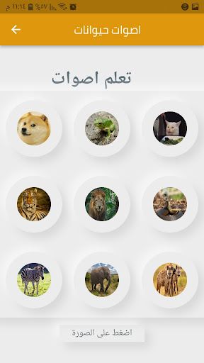 تعلم اصوات الحيوانات Screen 2