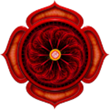 Muladhara Root Chakra icon