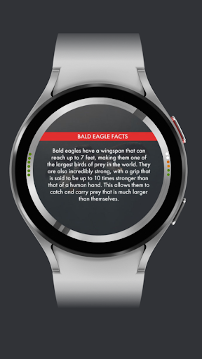 Xen — Animal Watch Face Screen 3