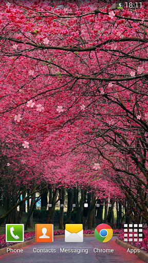 さくらライブ壁紙 By Orchid Google Play Japan Searchman App Data Information