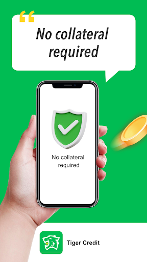 Tiger Credit - Easy Loan Screen 2