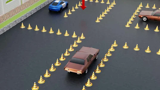 Advance Car Parking Sim 3D