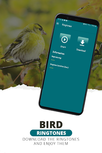 Ringtones, bird sounds Screen 3