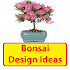 Bonsai Design Ideas