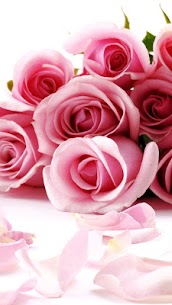 Roses Live Wallpaper For PC installation